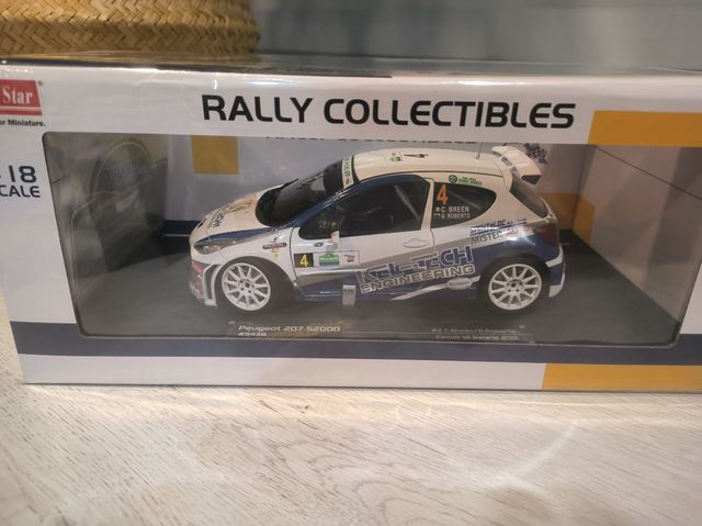 Peugeot 207 S2000 (C.Breen)