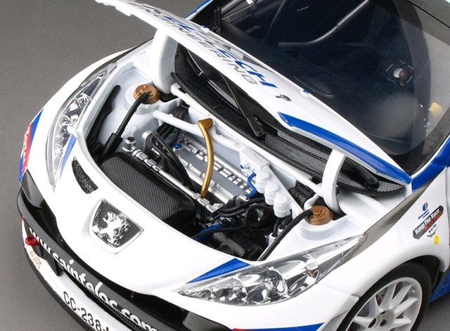 Peugeot 207 S2000 (C.Breen)