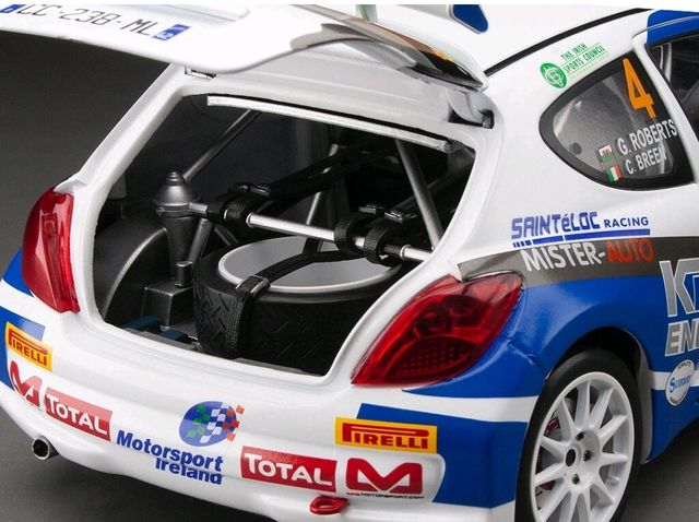 Peugeot 207 S2000 (C.Breen)