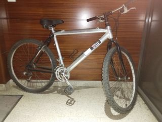 Bicicleta de montaña plateada