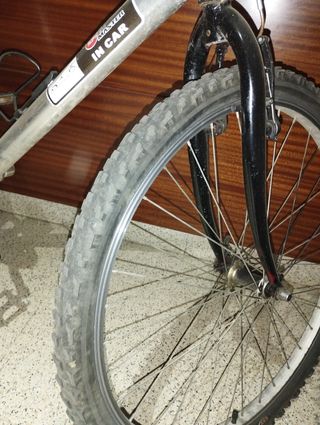 Bicicleta de montaña plateada