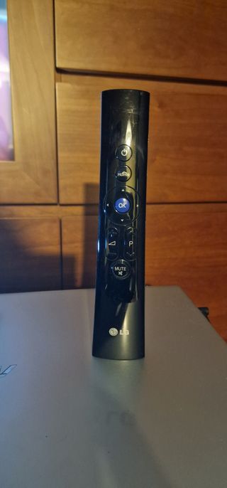 Mando LG TV AKB732955