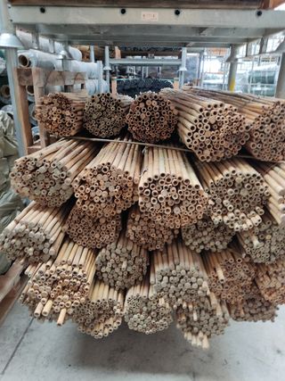 Tutores de bambú para plantas