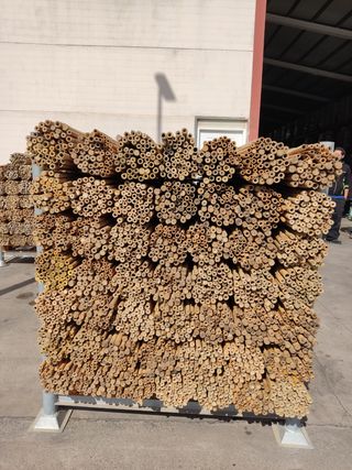 Tutores de bambú para plantas