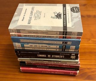 Lotto 15 Libri classici spagnoli