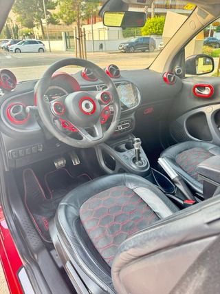 Smart fortwo  Usuhaia 2016