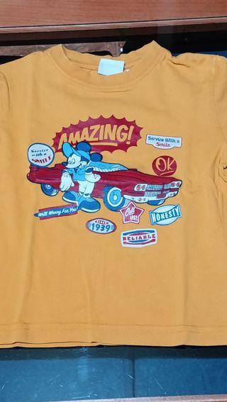 Lote 10 Camisetas Niño 2 Años