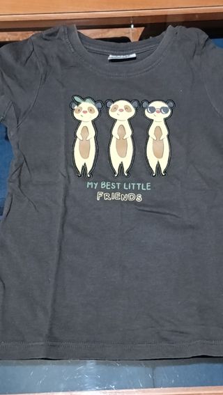 Lote 10 Camisetas Niño 2 Años