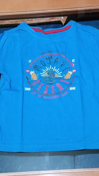 Lote 10 Camisetas Niño 2 Años