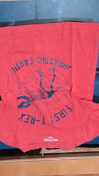 Lote 10 Camisetas Niño 2 Años