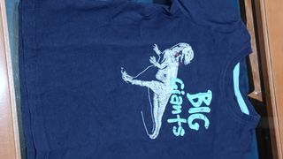 Lote 10 Camisetas Niño 2 Años