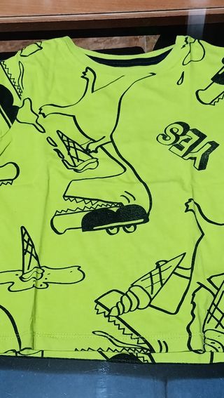 Lote 10 Camisetas Niño 2 Años