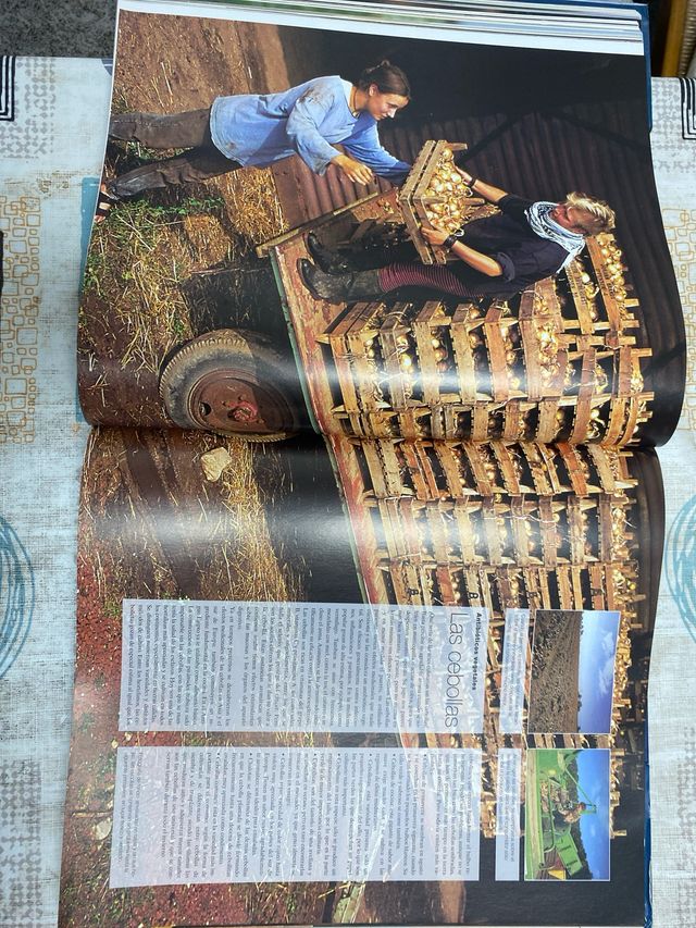 Libro alimentación Del campo a la cocina