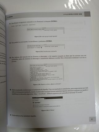 Implantación de aplicaciones web en entornos In...