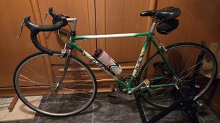 Bicicleta Laiz Verde