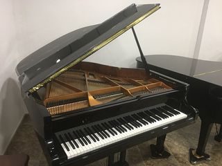 Piano de Cola 160cm nuevo con garantia 5 años