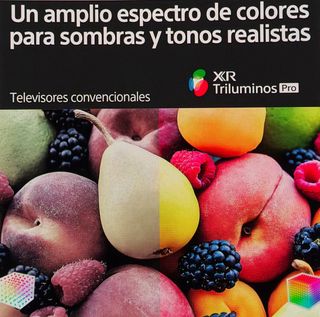 TV Sony Bravia XR(Gama alta)