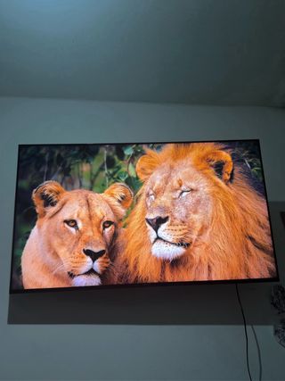 TV Sony Bravia XR(Gama alta)