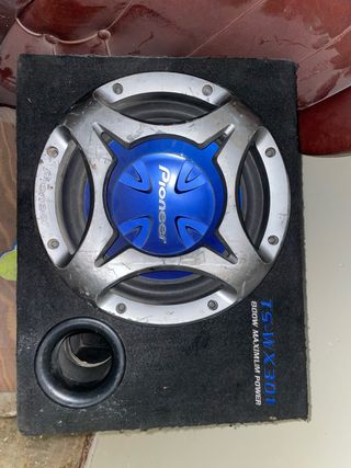 Subwoofer Pioneer TS-WX301