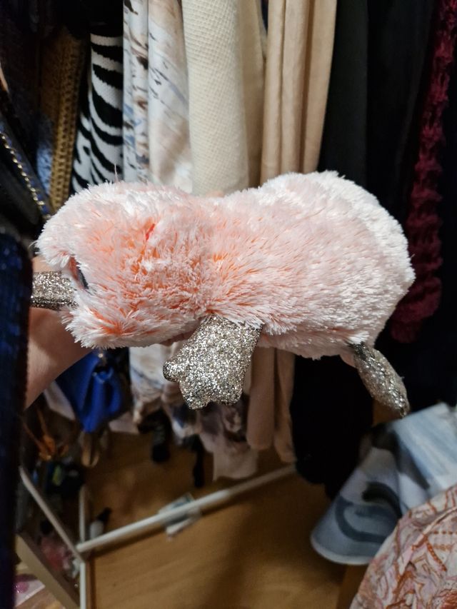 Ornitorrinco Ty Mediano