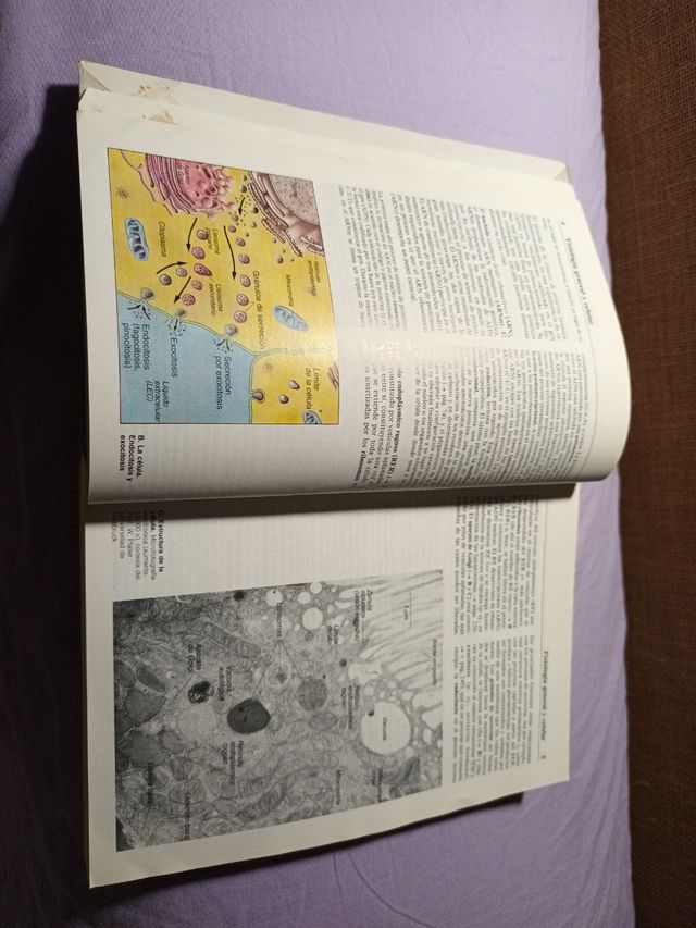 Texto y atlas de fisiología