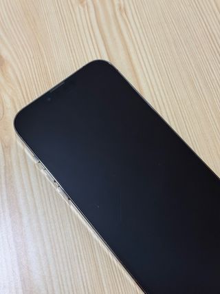 iPhone 13 Pro Max (128GB, Gris Espacial / Negro)