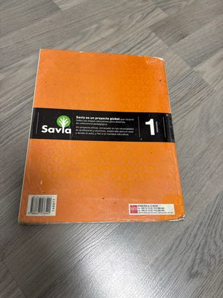Economía. 1 Bachillerato. Savia (Spanish Edition)