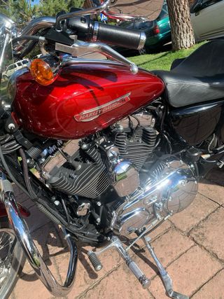 Harley Davidson Sportster XL 1200 Custom