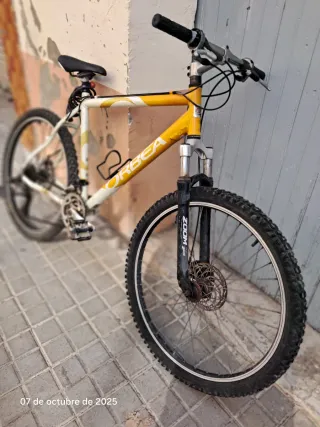 Bicicleta de Montaña Orbea (chico)
