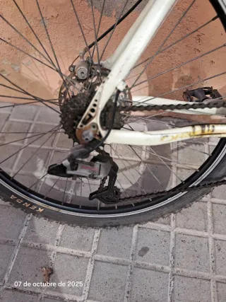 Bicicleta de Montaña Orbea (chico)