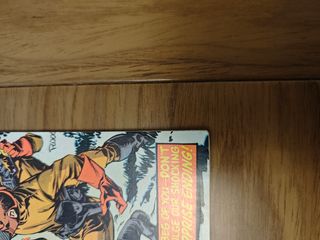 The Man-Thing #11 (1974) VF 8.0