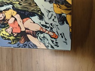 The Man-Thing #11 (1974) VF 8.0