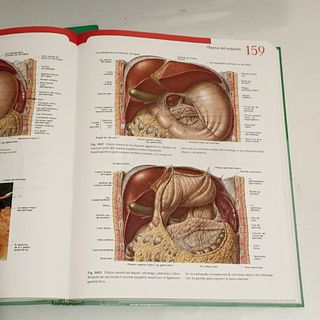 Sobotta Atlas de Anatomia Humana