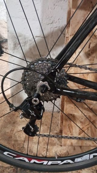 Bici carretera Massi 2017 Campagnolo Veloce