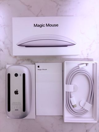 Apple Magic Mouse Plata