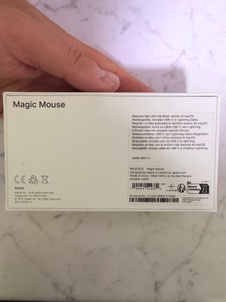 Apple Magic Mouse Plata