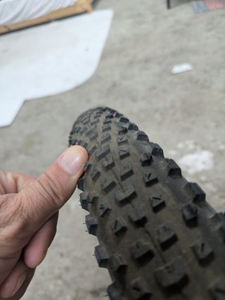 Rueda 29 Disco Maxxis