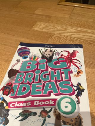 Big Bright Ideas 6. Class Book
