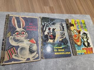 Colección Libros Infantiles Antiguos 1960 España 