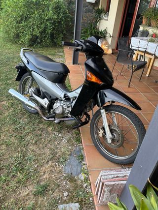 Motor Pit Bike Zongshen daytona 212cc