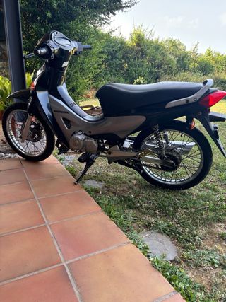 Motor Pit Bike Zongshen daytona 212cc