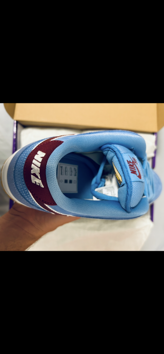 Nike SB Dunk Low Philadelphia! 