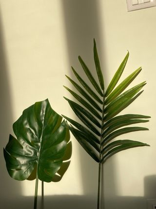 2 Foglie Artificiali Ikea