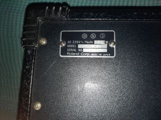 Amplificador Roland DAC-15X