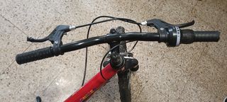 Bicicleta infantil 22 pulgadas