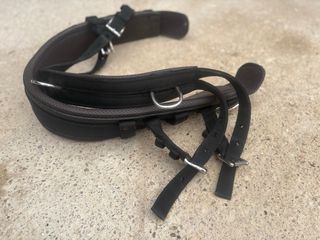 Pecherín para caballo