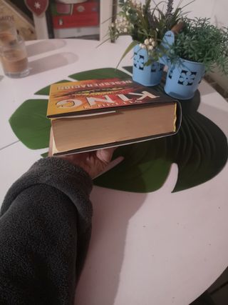 Desesperación Stephen King 
