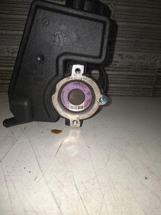 Bomba Dirección Asistida Peugeot 206