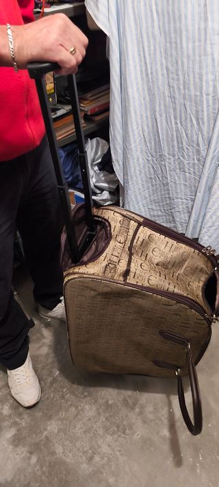 Maleta de viaje con ruedas