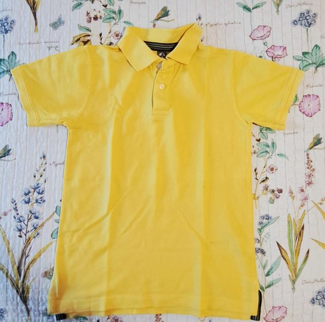 Lote de camisetas Polo. Polo Ralph, Zara y Tommy